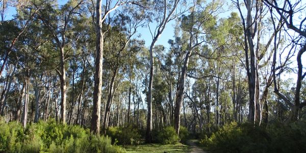 Edward River Bridge Camp Ground.