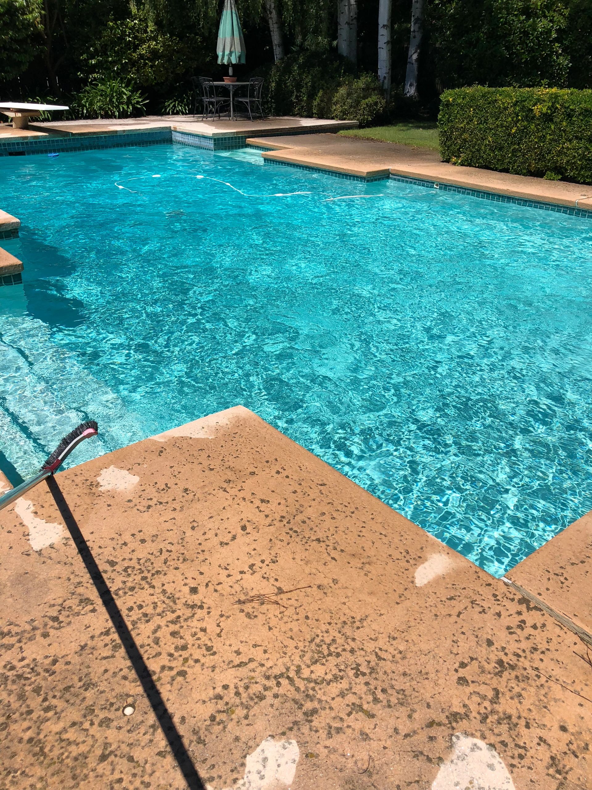 pool-service-near-me-apopka-sea-breeze-pools-llc-swimming-pool