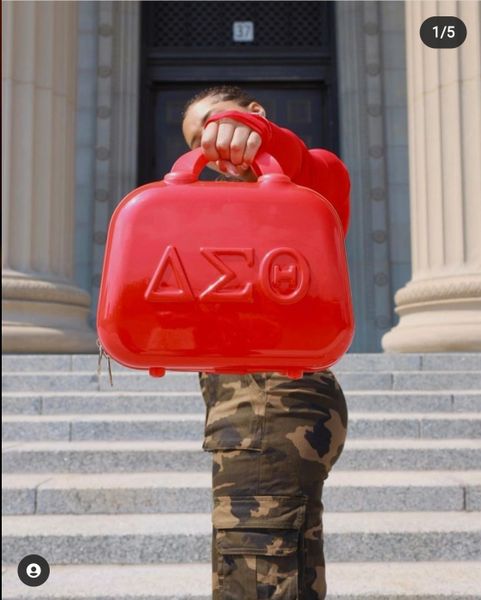 Delta Sigma Theta Cosmetic Case Sorority Greek apparel and accessories