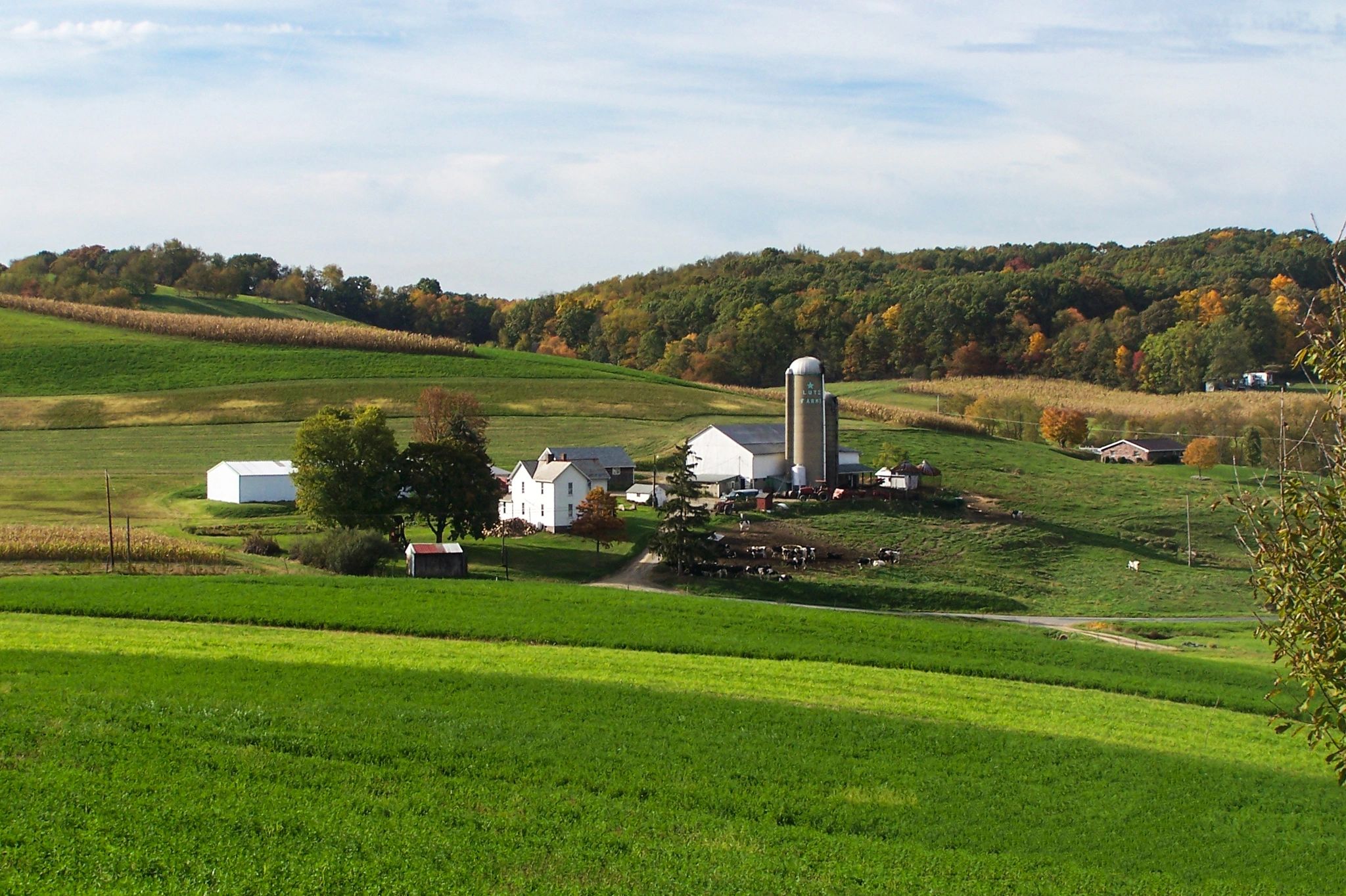 Farm, Local Lutzfarmsllc Zelienople, Pennsylvania