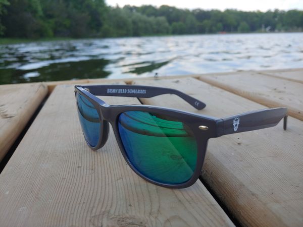 Bison Head Classic Sunglasses XXL Gray Frame Purple Mirror, 48% OFF