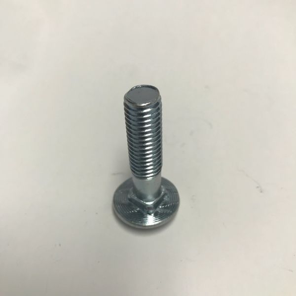 80991 Guard Head carriage Bolt M10x40