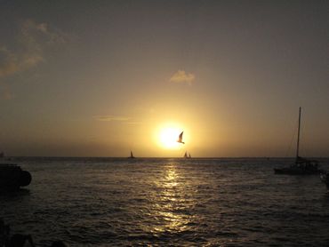 Sunset Photo - Key West, Florida