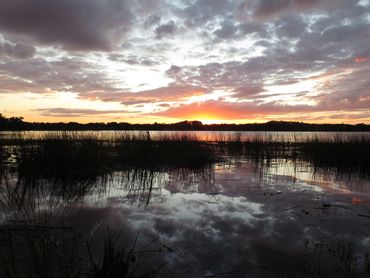 Sunset Photo - Lake Tarpon, Palm Harbor, Florida