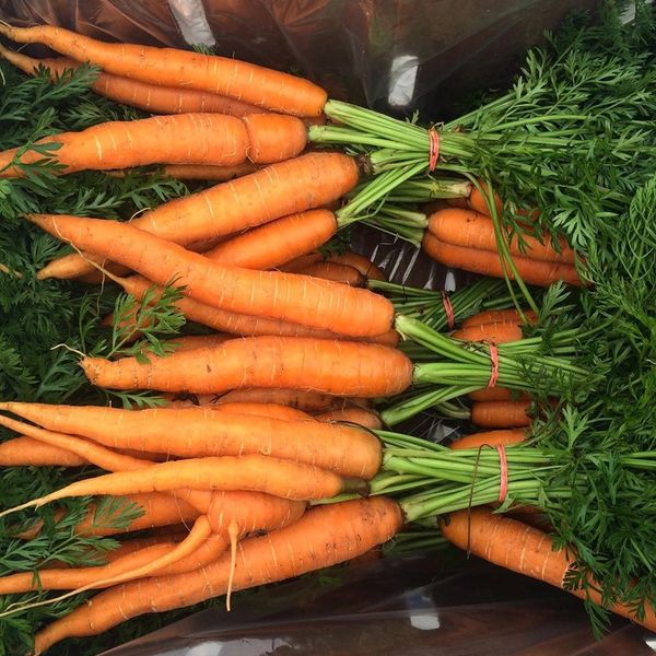 Squashington Farm photo 19