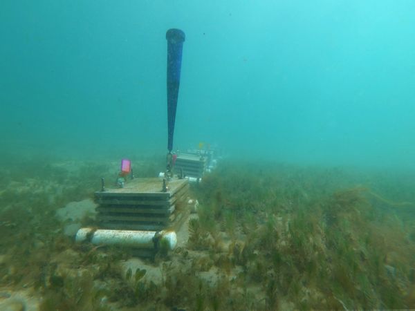 Autonomous Reef Monitoring Structure in a seagrass meadow.