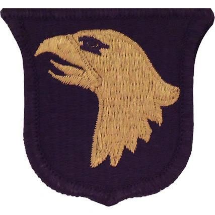 ARMY PATCH: 101ST AIRBORNE DIVISION - EMBROIDERED ON OCP