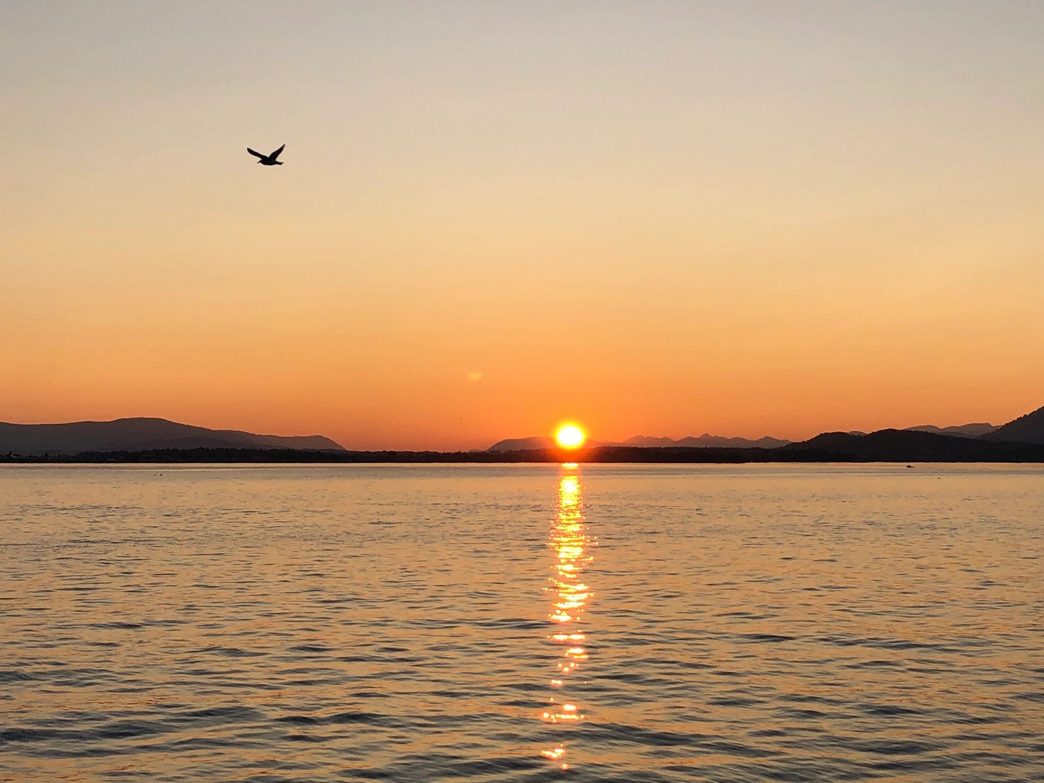 15 Minute Guided Meditationfav Page Create - mwtl935