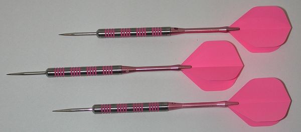 Pink Passion 21 gram Steel Tip Darts - 80% Tungsten, Ringed Grip - Style 2