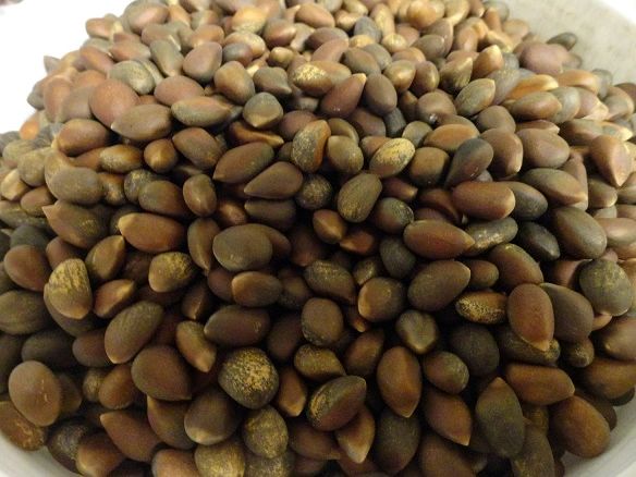 PINON NUTS ROASTED AND SALTED, 2020 new crop! NEW CROP 5 POUND