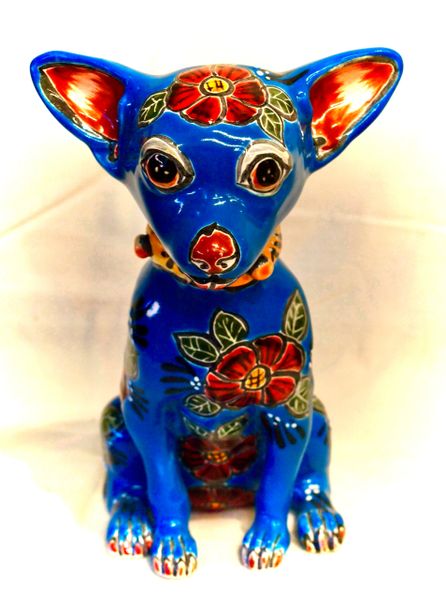 Blue Chihuahua