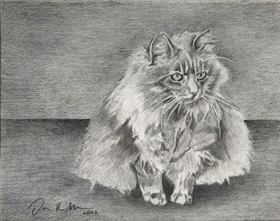 Esty, for Joanne White, (2003) graphite pencil (8 x 10 inches