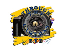 Through The Cameras Eye