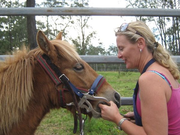 Donate a Dentist Visit