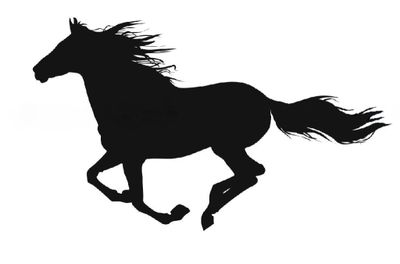 Hunter Valley Brumby Association