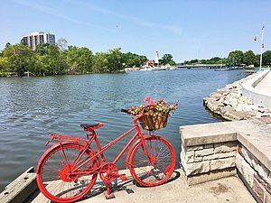 image81