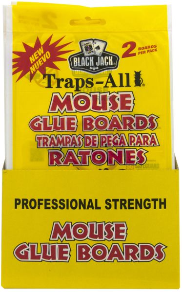 Pest Expert Mouse Glue Boards (24 Pack) – pestcontrolsupermarket