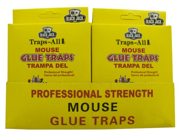 Black Jack® Traps-All Mouse Glue Traps 2-PACK