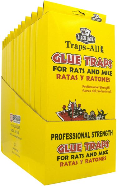 Black Jack® Traps-All Mouse Glue Traps 2-PACK