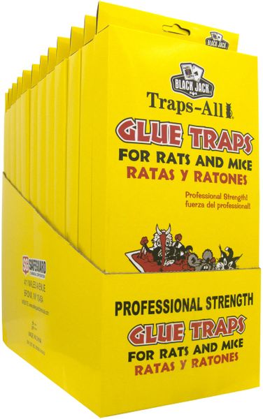 Black Jack® Traps-All Rats, Mice, and Insects Glue Boards 2-PACK