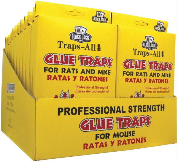 Mouse Glue Trap, Professional Strength, 4-Pk.