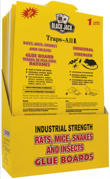 Black Jack® Traps-All Rats, Mice, and Insects Glue Boards 2-PACK