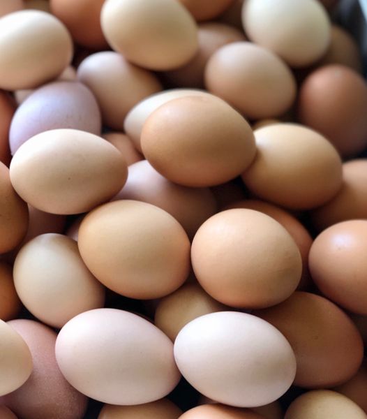 Free range eggs Corn free, soy free.