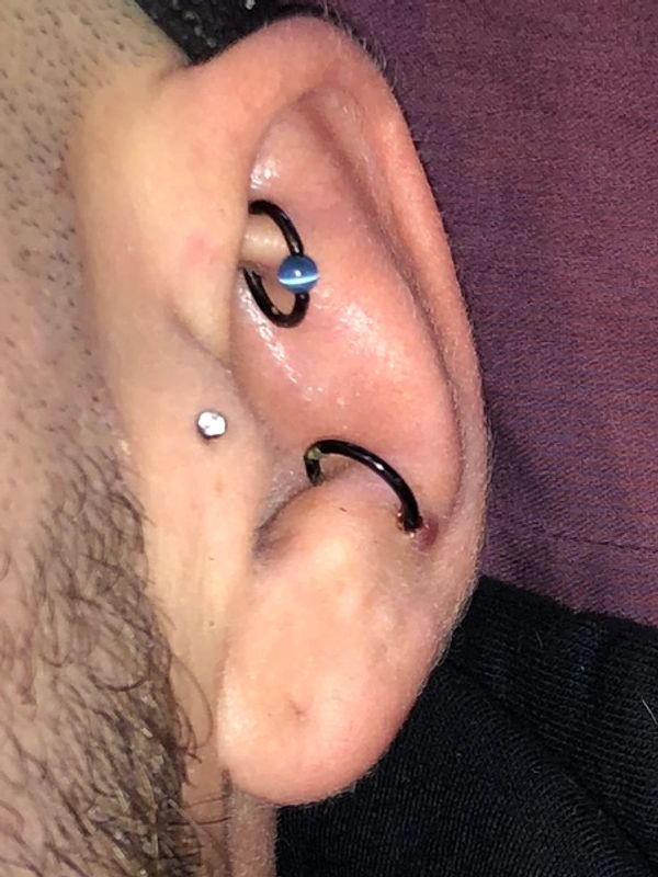 Rook, Tragus, Anti-Tragus ear piercing multiple ear piercing many piercings cartilage piercing