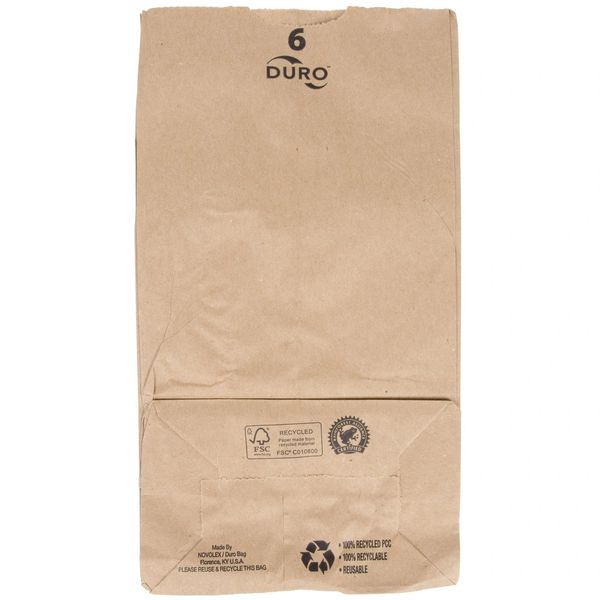 PAPER BAG LARGE 500 COUNT