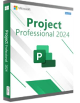 Microsoft Project Professional 2024