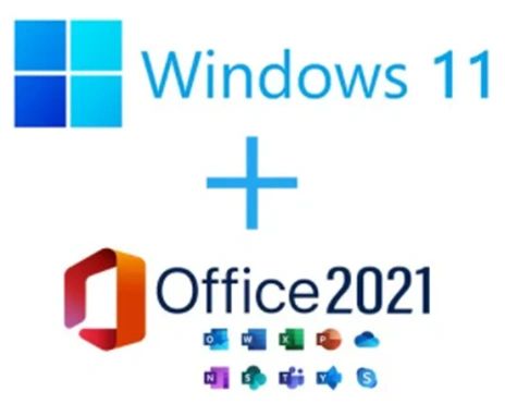 Windows 11 Pro & MS Office Pro Plus 2021