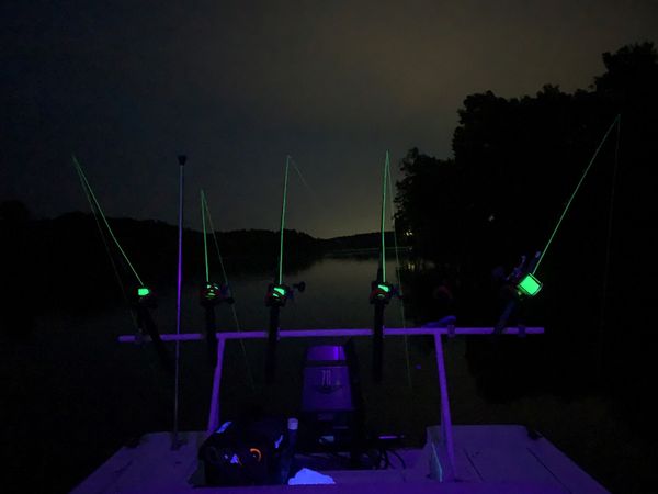 Night fishing with light and shad net