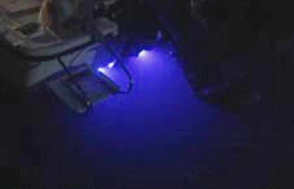 BLUE GARBOARD LED BOAT DRAIN PLUG LIGHT