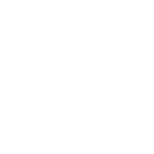 MataZ logo. White on black background.