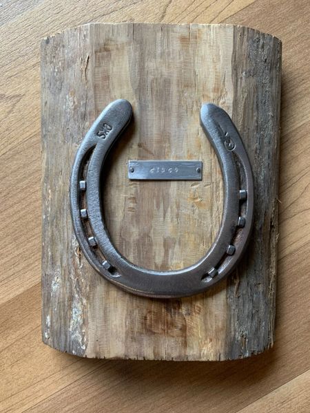 Rustic Horseshoe Decor