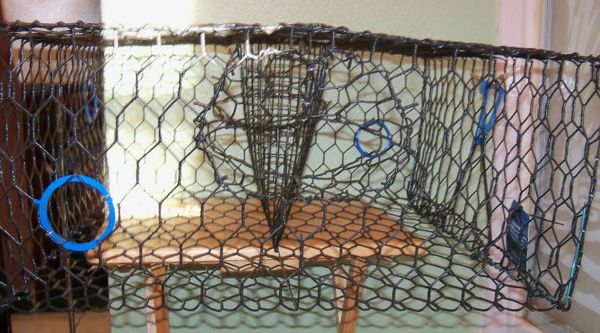 Blue Crab Trap 24x24x11