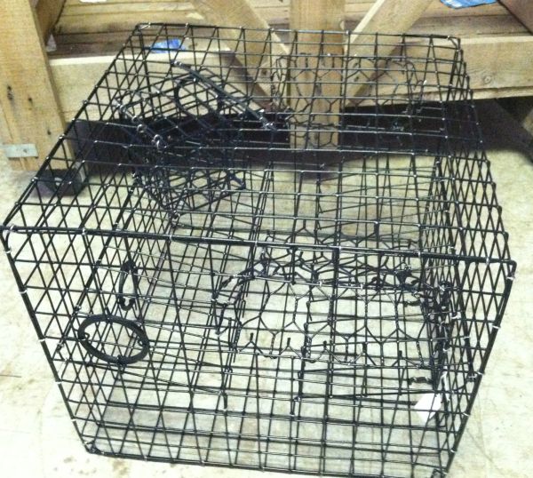 MED SIZE CRAB POT/ TRAP-2 TIER-VINYL COATED L18"x W18"x H15" ENTER 2 SIDES-USA