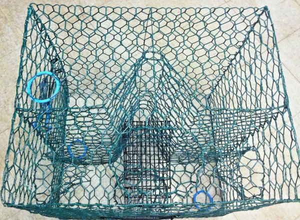 FULL SIZE CRAB POT/TRAP PRO VINYL COATED L24" x W24" x H19" ENTRANCE 4 SIDES--