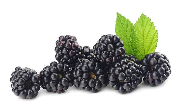 Blackberries - Half Pint 6 oz