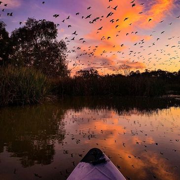 boat with birds, pink, orange, purple sunset sky at the river