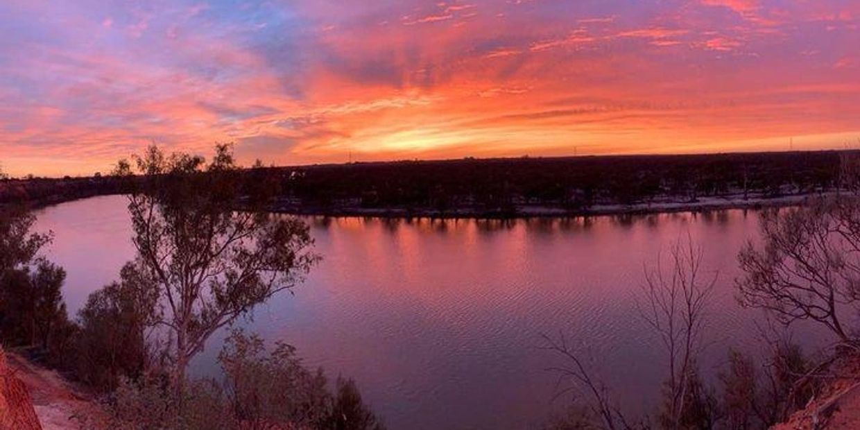 sunset, river trees