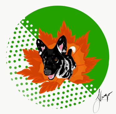 dog, fall, seasons, autumn, husky, husky mix, digital art, leaves, polka dots, Adobe Draw, puppy