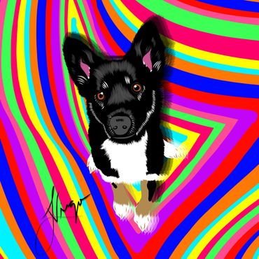 puppy, dog, husky, husky mix, digital art, digital illustration, psychedelic art