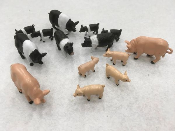 Custom Painted Pigs