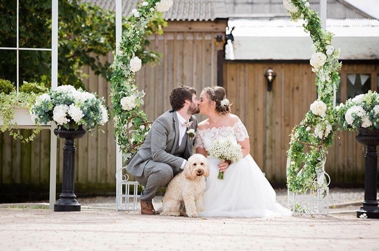 Wedding Dog Chaperone
Dogs at weddings
Dog Friendly weddings
