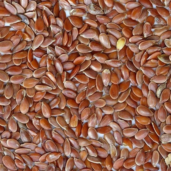*NOT INSTORE* Whole Linseed 20kg