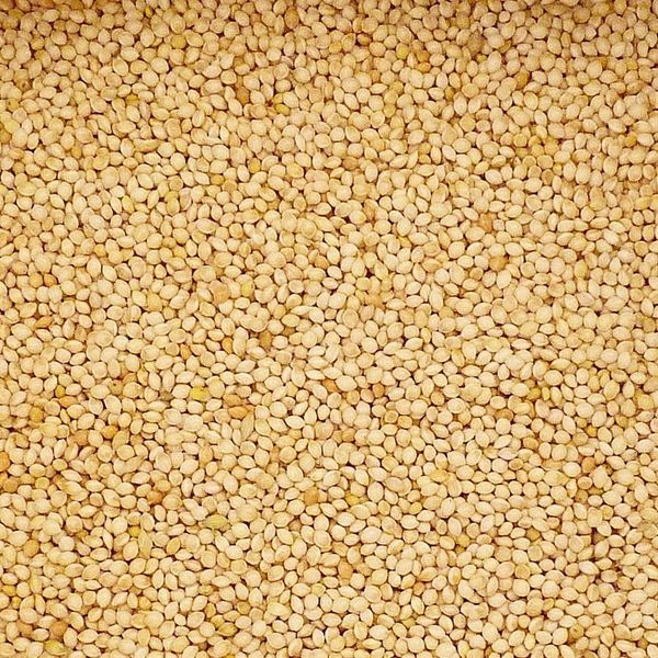 *NOT INSTORE* Johnston & Jeff French White Millet 20kg