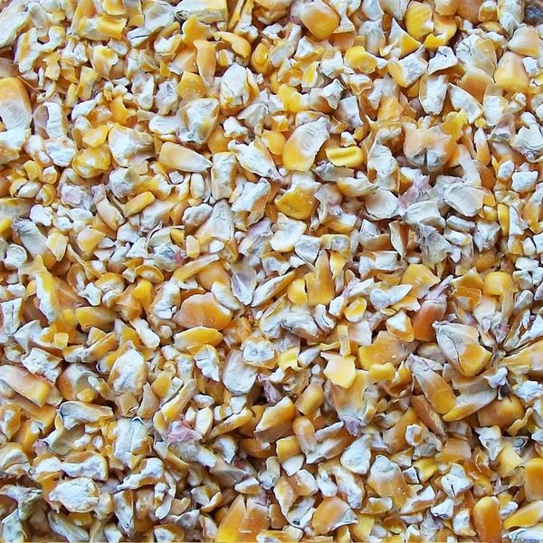 *NOT INSTORE* Kibbled Maize 20kg