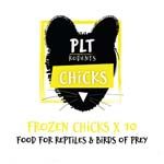 PLT Frozen Chicks