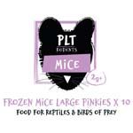 PLT Frozen Mice Large Pinkies 2g+
